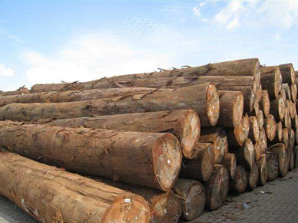 醫療用品進口代理