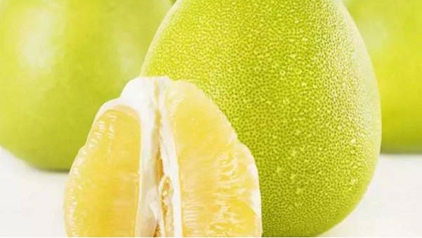 上海水果進口報關